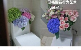 卫生间养花不难水都不用费心浇掀掉马桶水箱盖种花花肥叶绿