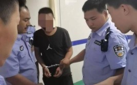 挺好  专偷轿车零件，歪了(小轿车李某嫌疑人江岸民警)