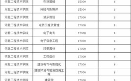 河北工程大学中外合作办学学费多少钱一年