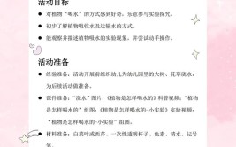 屈老师中班科学教案植物怎样喝水