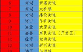 哪些地方上榜？嘉兴全市服务业二十强镇（街道）揭晓(街道服务业二十浙江日报服务业发展)