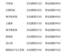 多少分能被重庆智能工程职业学院录取