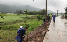 高质量发展的绿色密码 龙岗区开展2023年义务植树活动