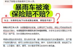 保险能不能赔？哪些情况会拒赔？听听保险公司怎么说......(车辆保险公司暴雨水淹相关)