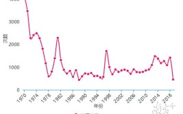 大数据告诉你广东50年地震图谱(地震河源发生告诉你震级)