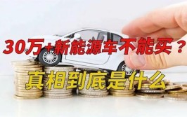 专家认为：不建议买新能源汽车？是为了省钱还是另有其因？(新能源里程续航另有省钱)