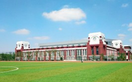 沈阳药科大学有哪些学院？