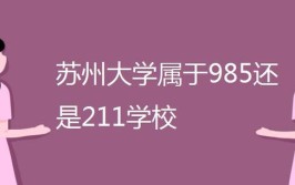 苏州大学属于985还是211学校