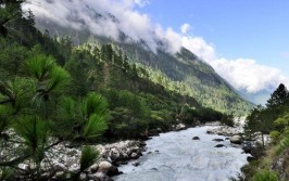 察隅：隐藏于峡谷密林的“西藏江南”(察隅峡谷古道冰川高山)