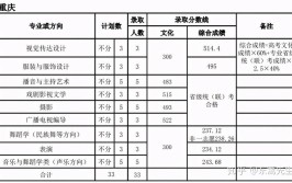 美术生文化300分能上啥学校