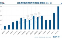 新能源商用车发展迎来新拐点？(新能源商用车比亚迪补贴销量)