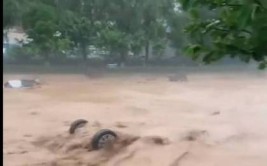 超过20辆！目击者讲述“宝鸡暴雨多辆汽车被冲走”(冲走暴雨汽车目击者路面)