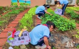 让花朵与绿植共成长潮州打造100个绿美校园示范点