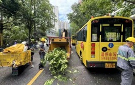 绿植成了导火线看这群普陀人如何灭火→