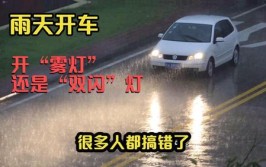 雨天开车 打双闪还是开雾灯？(雾灯暴雨能见度雨天开启)