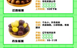 板栗属于什么类食物