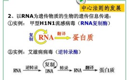 反转录和逆转录的区别