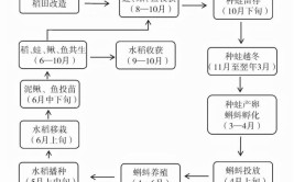 最靠谱的立体种植种养模式附9个案例