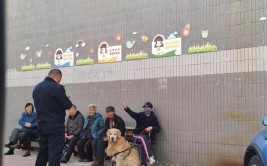 小城“犬事”：城市犬管的营口样本(养犬执法工作小城公安局)