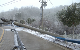 武汉受暴雪冻雨灾害天气影响10千伏供电线路全部恢复(供电抢修线路电杆冻雨)