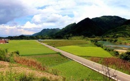 乡间小路串起美好“黔”途(木村农村都是新华网公路)