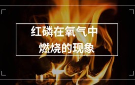 红磷在氧气中燃烧的现象是什么