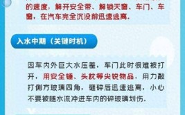 汽车不慎落水后如何自救？(自救落水不慎小海车窗)