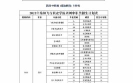 2024绵阳飞行职业学院选科要求对照表