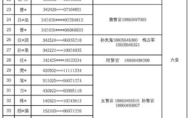 安徽查处一起涉三省环境污染案 深山炼铅废硫酸随意倾倒(电瓶拆解犯罪嫌疑人新华网焚烧)