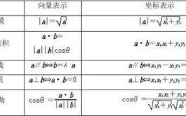 向量的乘法运算公式