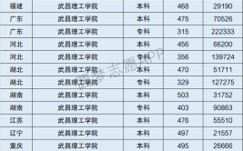 武昌工学院是985还是211