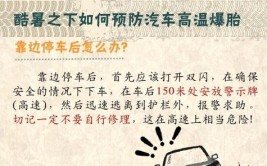 高速路上行车遭遇爆胎该怎么办？别慌！经验丰富的老交警为您支招(轮胎交警车辆高速公路为您)