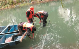 新塘河生态浮岛上的水草频遭毒手 养护单位出招制服凶手