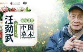 终极学霸挑战汪劲武教授的草木植物课程你都学会了吗