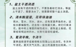 养花别在稀里糊涂弄清楚这4点基础知识很重要