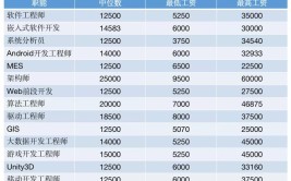 软件工程专业就业方向及薪资待遇