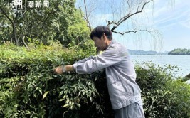 40℃下的园林养护工浇水一圈2小时衣服湿了又干