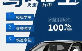 报名学车(教练小杨驾驶驾照学车)