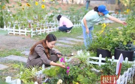 武昌区杨园街道认种花苗把春日带回家