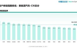 新能源汽车市场新势力_极氪,引领二手新能源市场新潮流