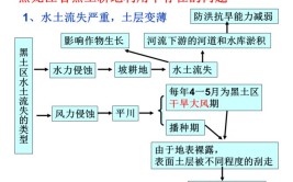 东北黑土地形成原因是什么