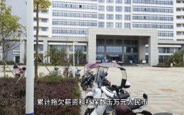 江苏盐城最大汽车经销商森风集团爆雷 超60家4S店倒闭(盐城集团倒闭汽车经销商创作者)