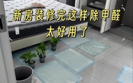 室内的甲醛怎么办？(甲醛活性炭室内装修新风)