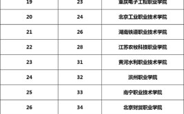 合肥双高计划学校有哪些？