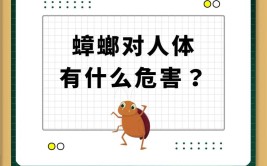 蟑螂会攻击睡觉的人吗