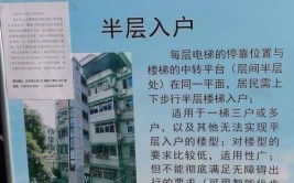 路面破损？加装电梯？环翠区这些热线问题都解决了(业主市民表决单元同意)