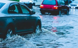 你想问的全在这里(在这里暴雨想问台风把车)