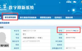 毕业生考生号怎么查询？