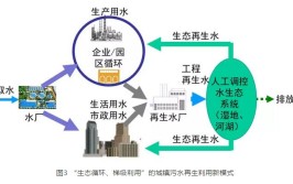 让城市循环起来（美丽中国·关注再生水利用（下））(再生万吨污水处理用水水利)