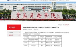 2024年黄海学院是什么学校